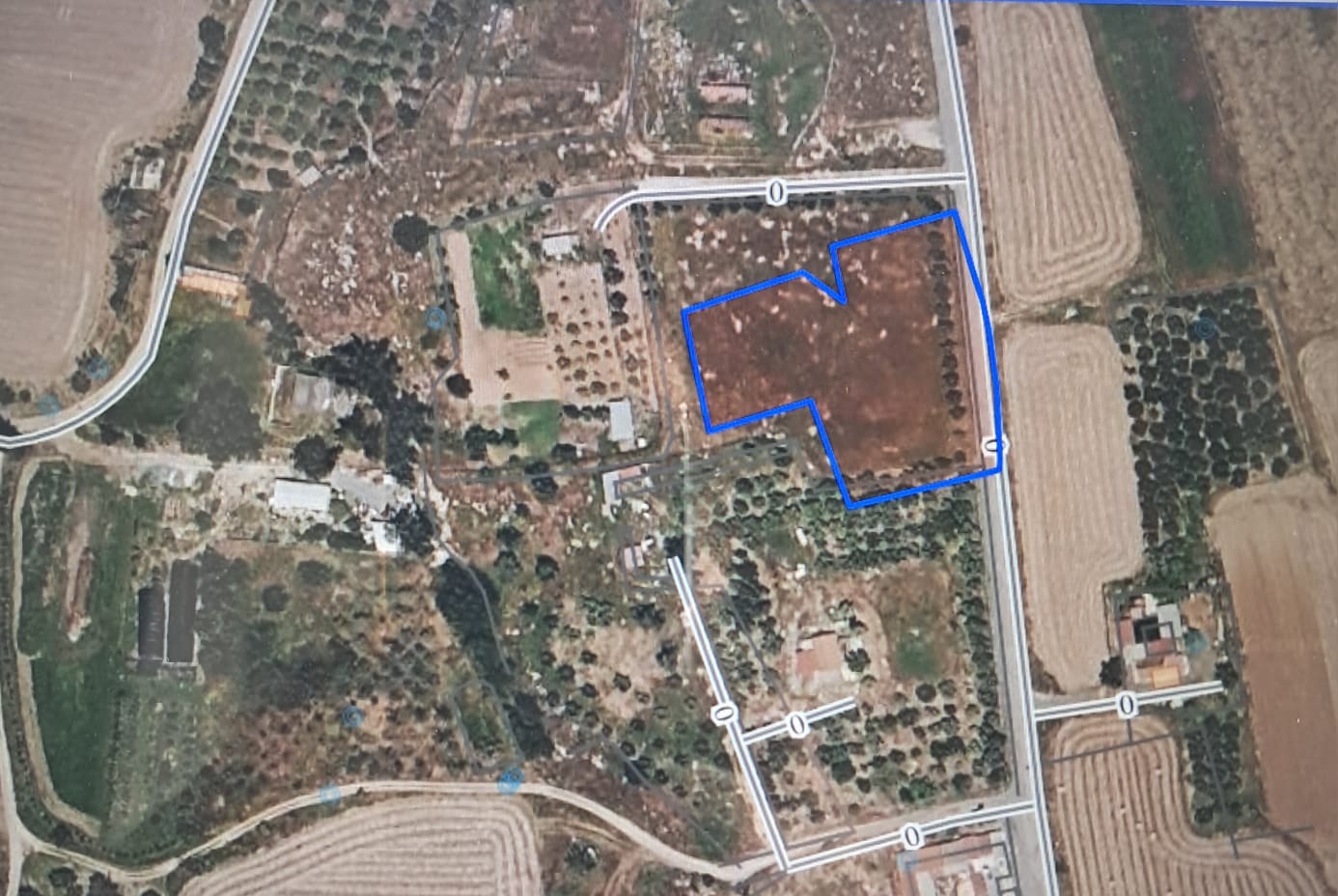 Land for Sale in Achna – 3,947 m²