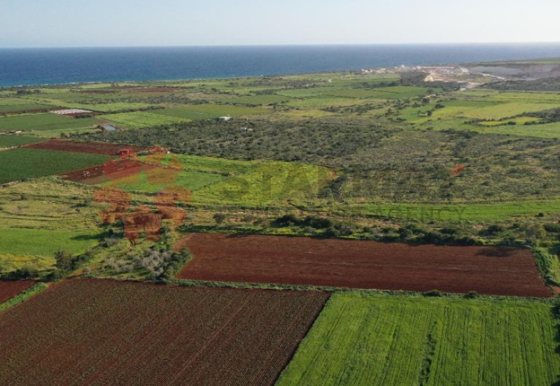 TOURISTIC FIELD IN LIOPETRI, FAMAGUSTA - Published