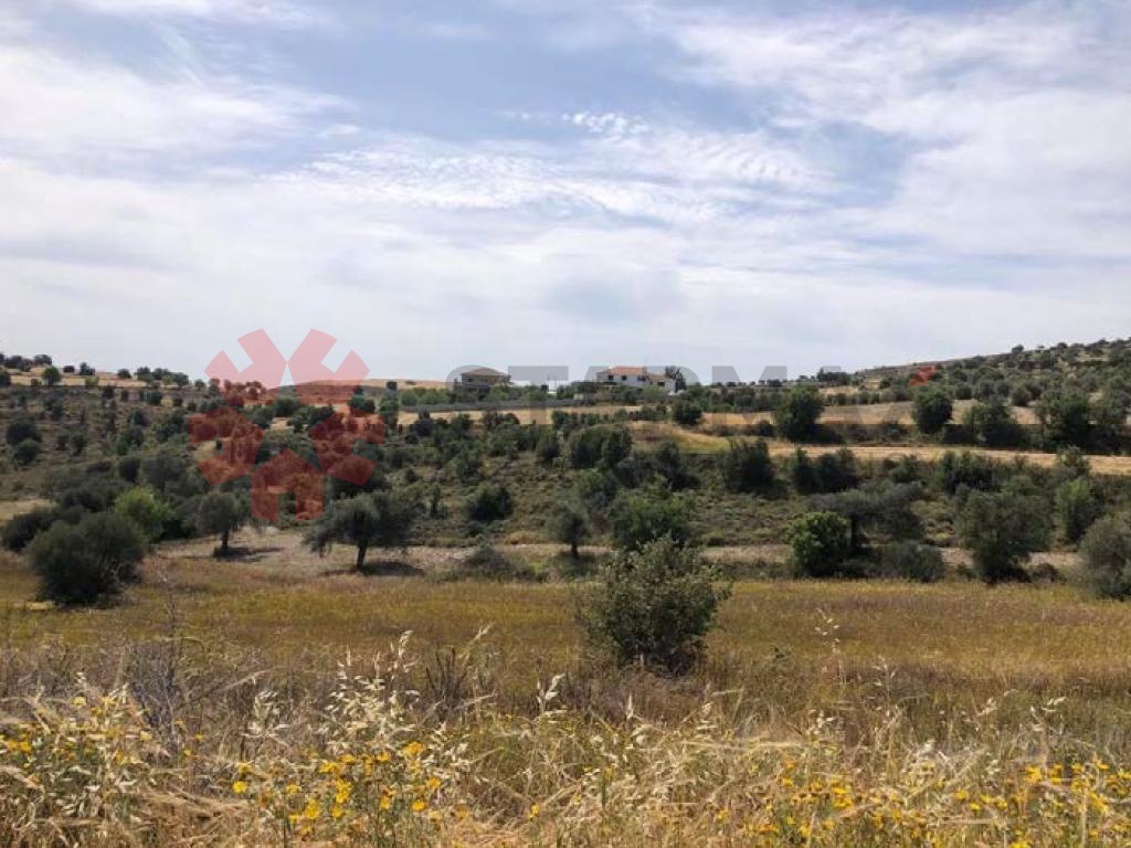 RESIDENTIAL FIELD IN ALAMBRA, NICOSIA - Published
