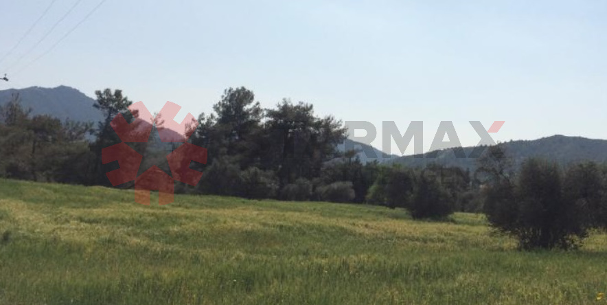 FIELD IN PYRGA,LARNACA - Published