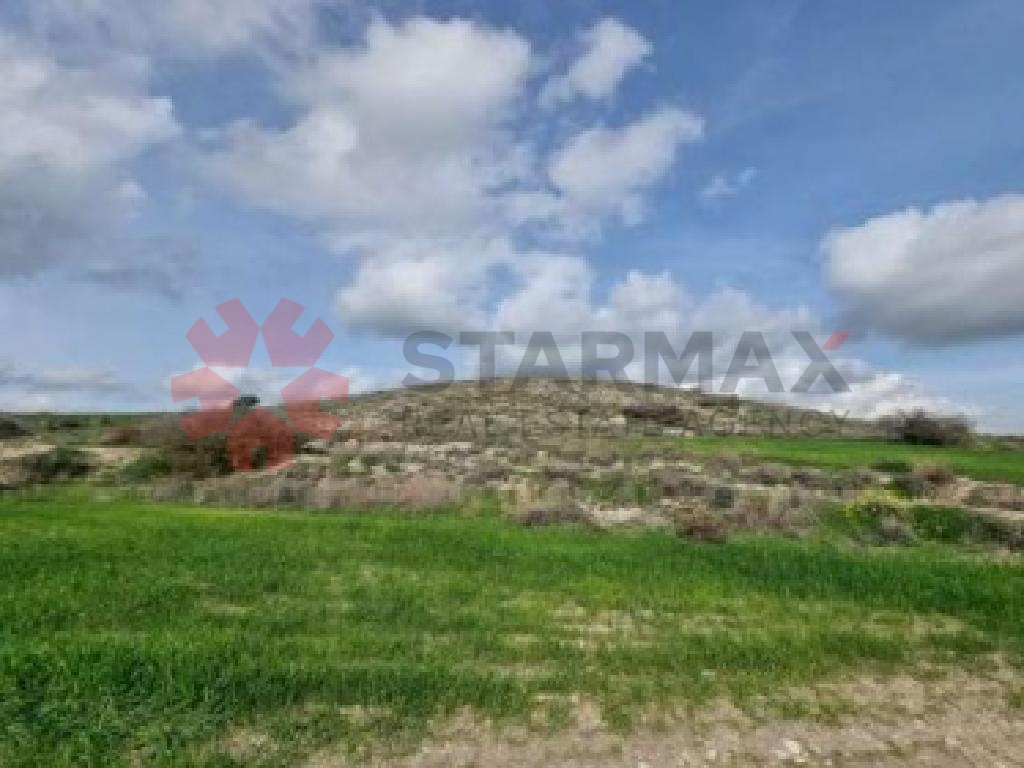 AGRICULTURAL FIELD IN ARADIPPOU, LARNACA - Published