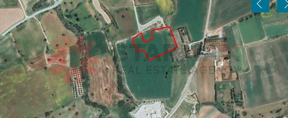 Field in Agios Theodoros, Larnaca - Published