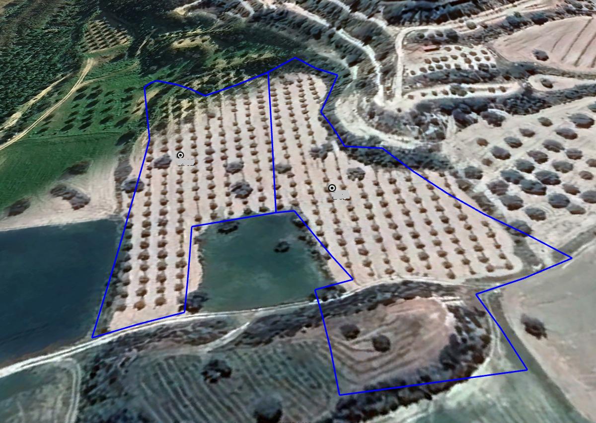 14,716sqm Agricultural Land in Alaminos - Published