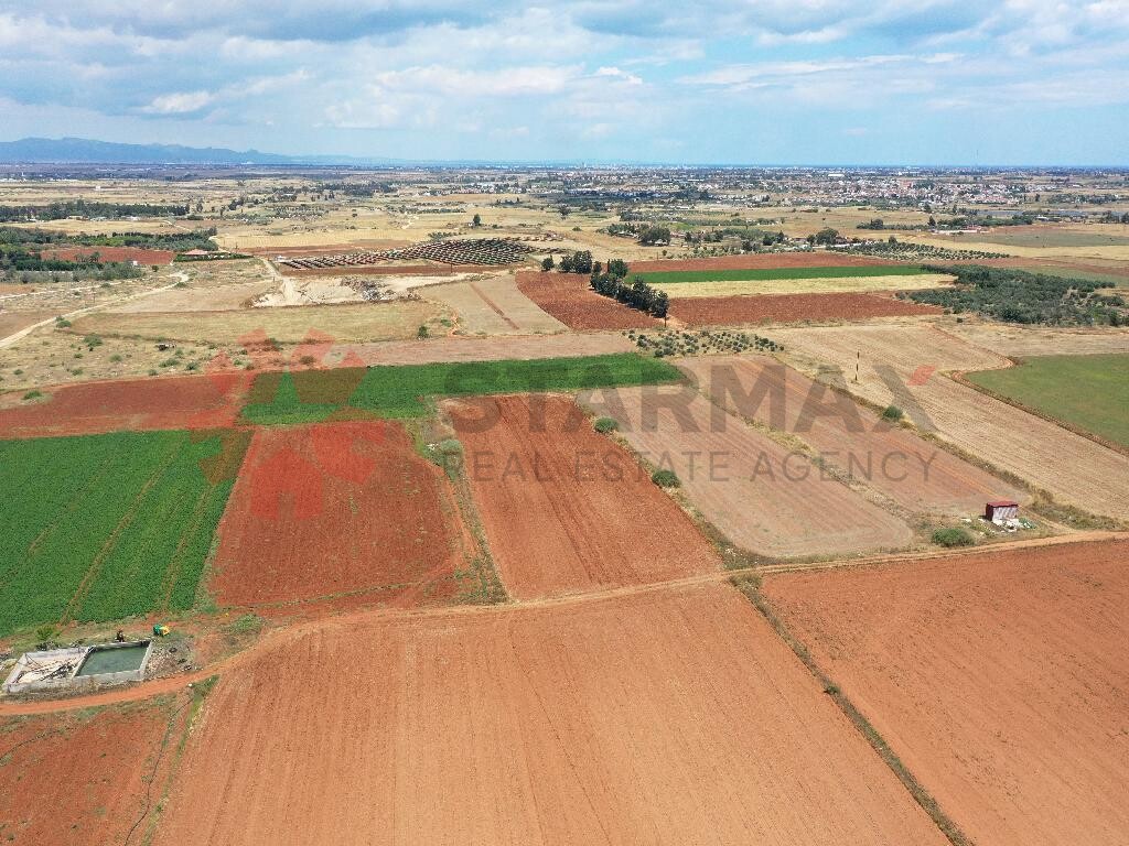 FIELD-AVGOROU,FAMAGUSTA - Published