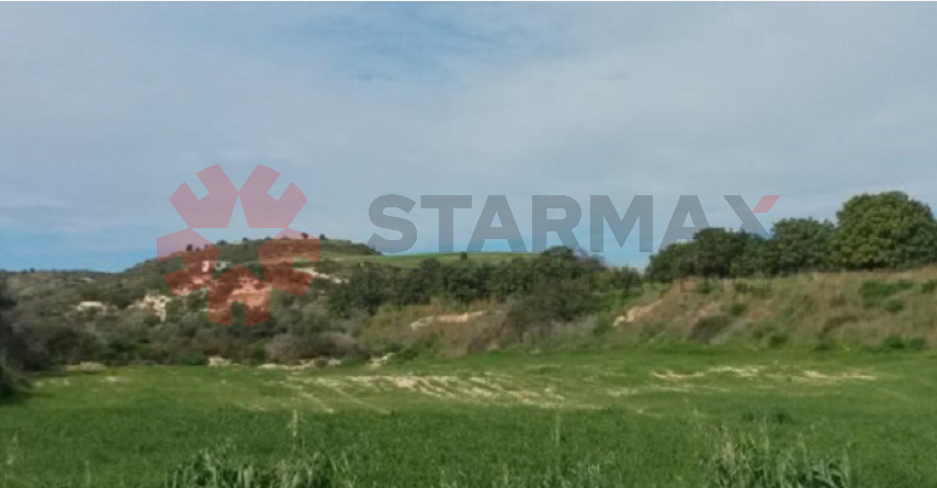 FIELD IN ALAMINOS,LARNACA - Published