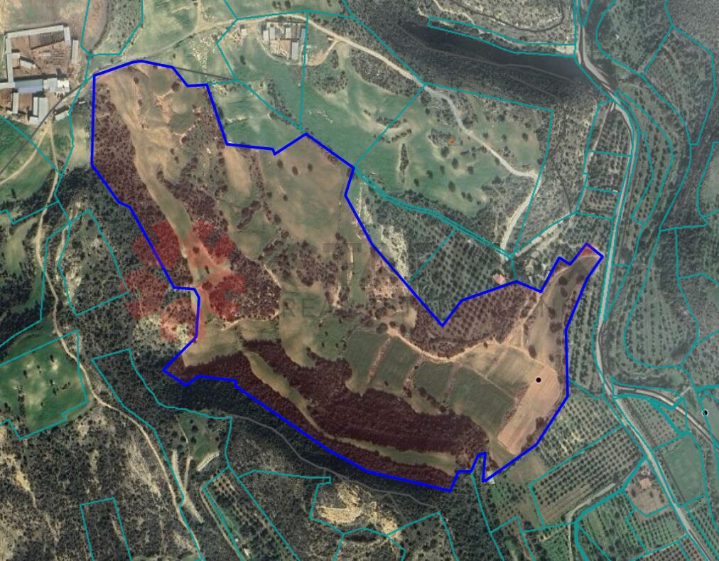 Huge Agricultural Land For Sale In Agios Theodoros