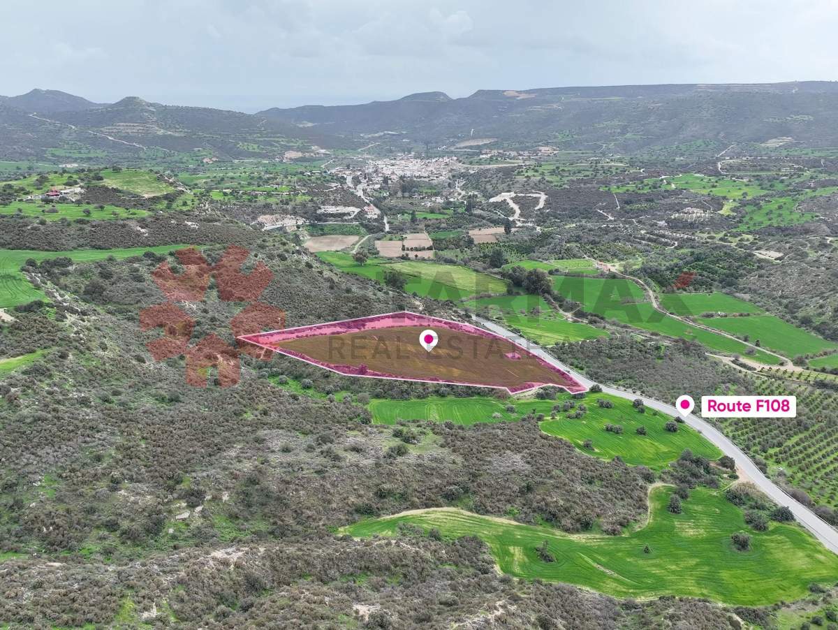 LIGHT INDUSTRIAL FIELD FOR SALE IN AGIOS THEODOROS, LARNACA - Published