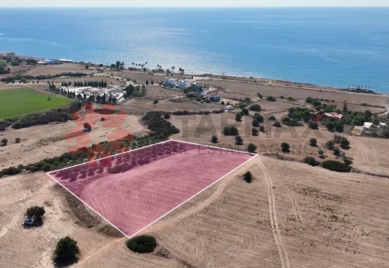 SEA VIEW TOURISTIC FIELD IN AGIOS THEODOROS, LARNACA - Published