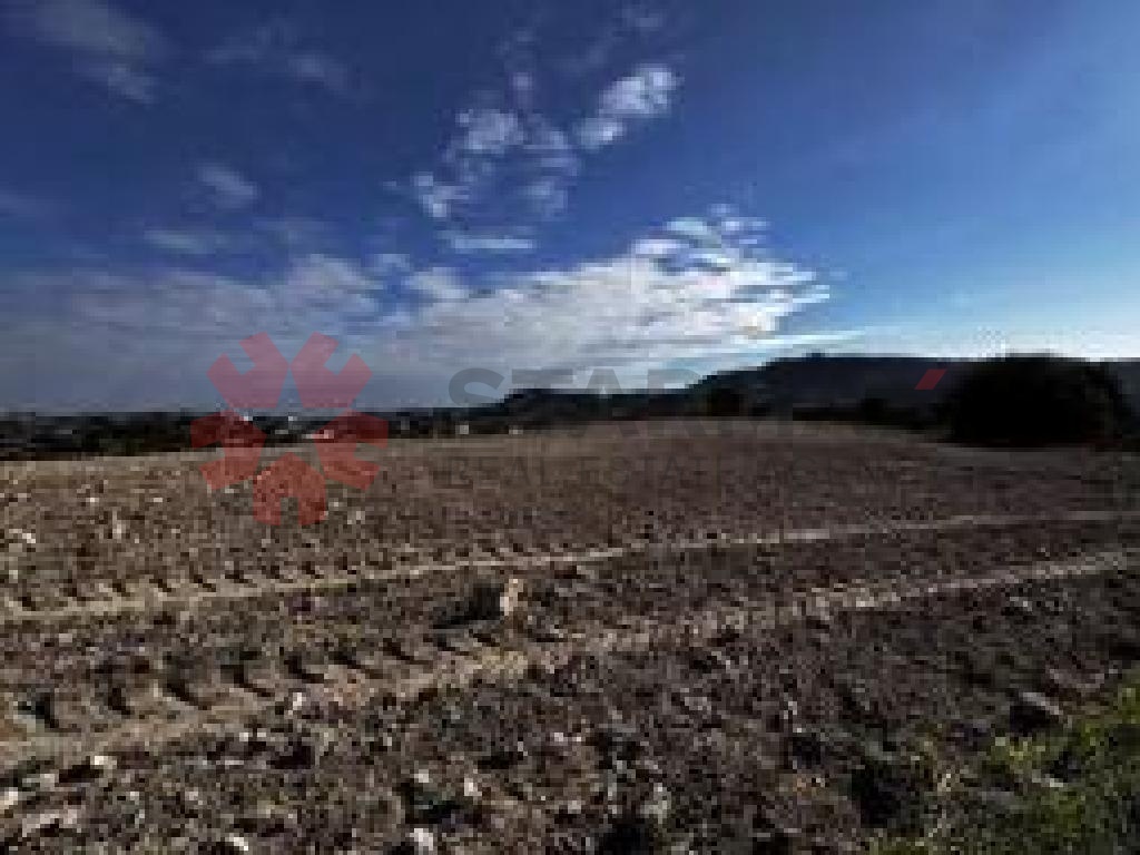 RESIDENTIAL FIELD IN AGIOS THEODOROS, LARNACA - Published