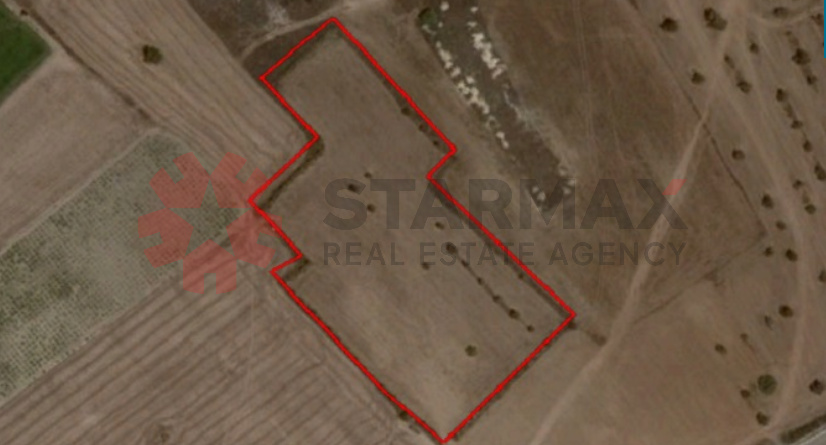 Agricultural Field for sale in Mazotos, Larnaca - Published