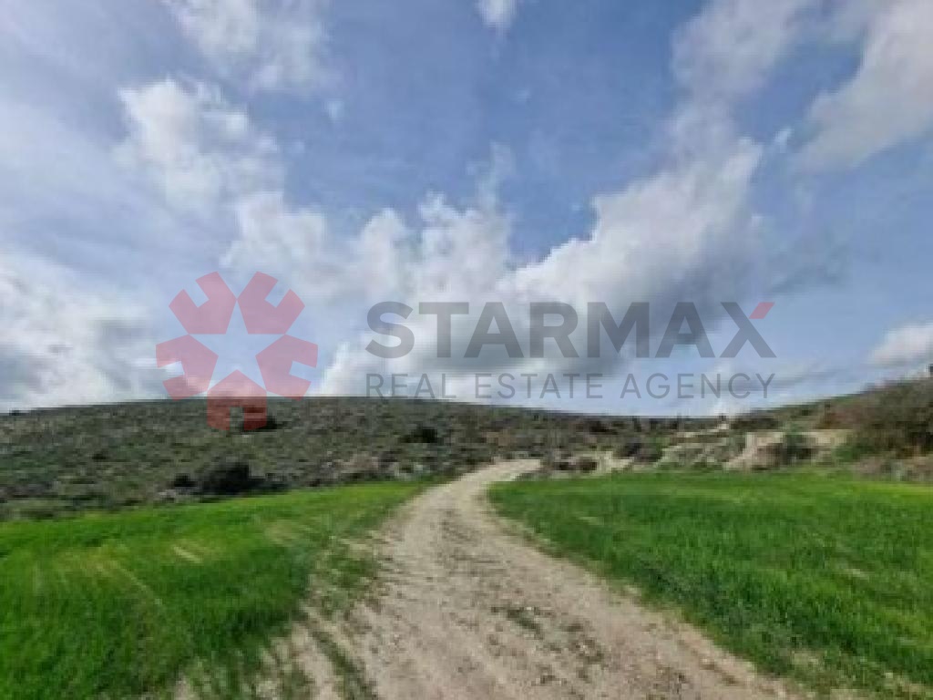 AGRICULTURAL FIELD IN ARADIPPOU, LARNACA - Published