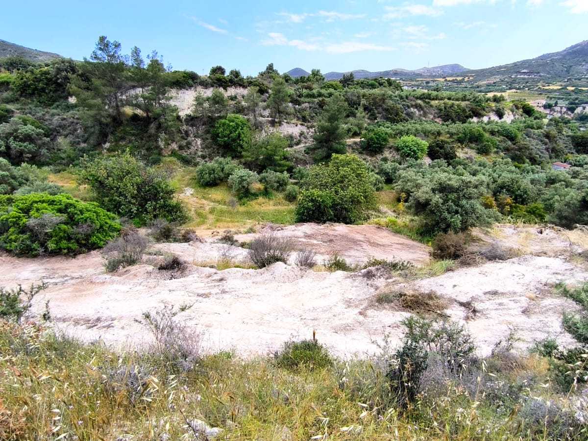 Agricultural land 7358sqm in Kalavasos - Published