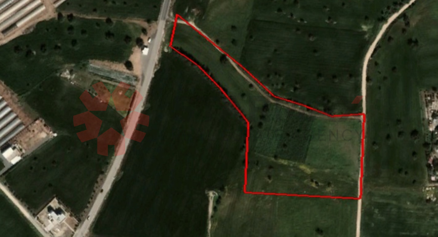 FIELD IN MAZOTOS,LARNACA