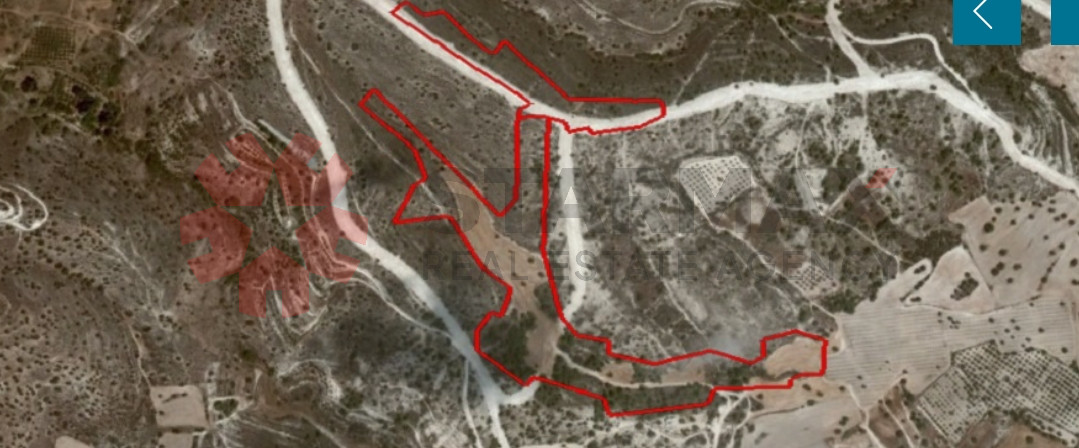 Two Agriculturals Fields in Alethriko/Anglisides, Larnaca - Published