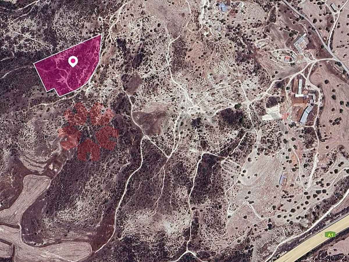 AGRICULTURAL FIELD FOR SALE IN SKARINOU, LARNACA - Published