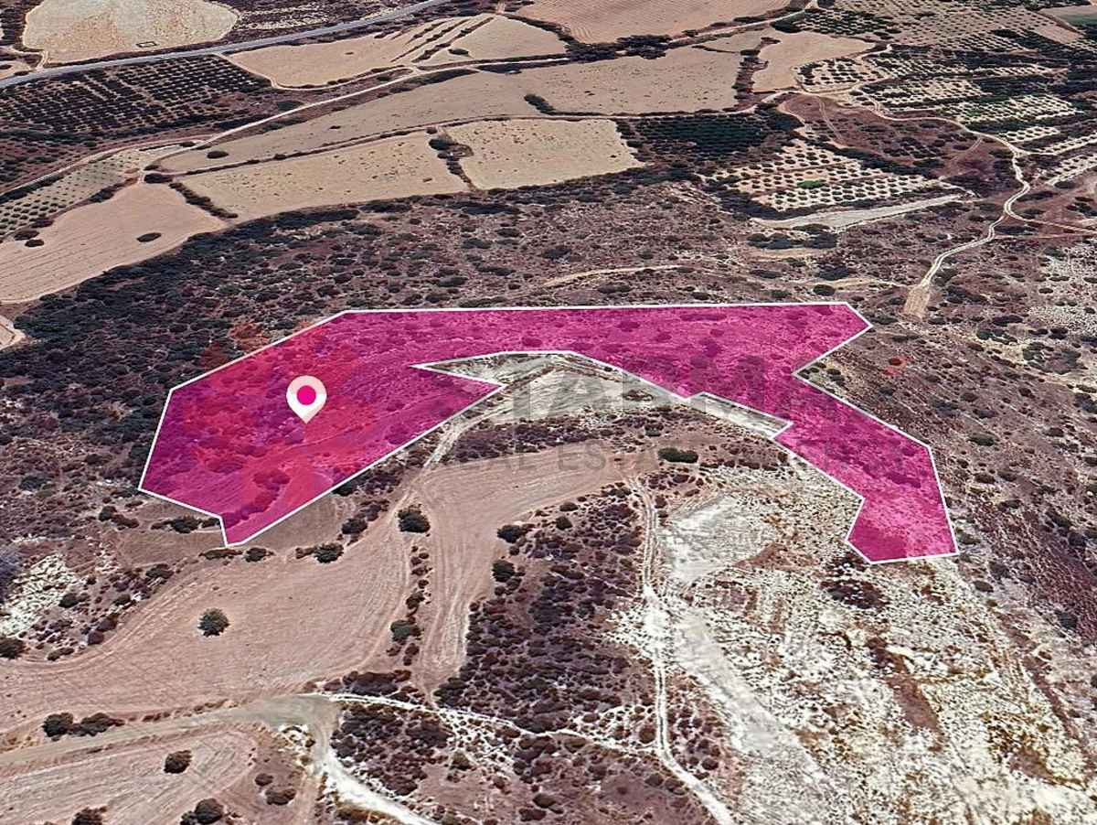 AGRICULTURAL FIELD FOR SALE IN SKARINOU, LARNACA - Published