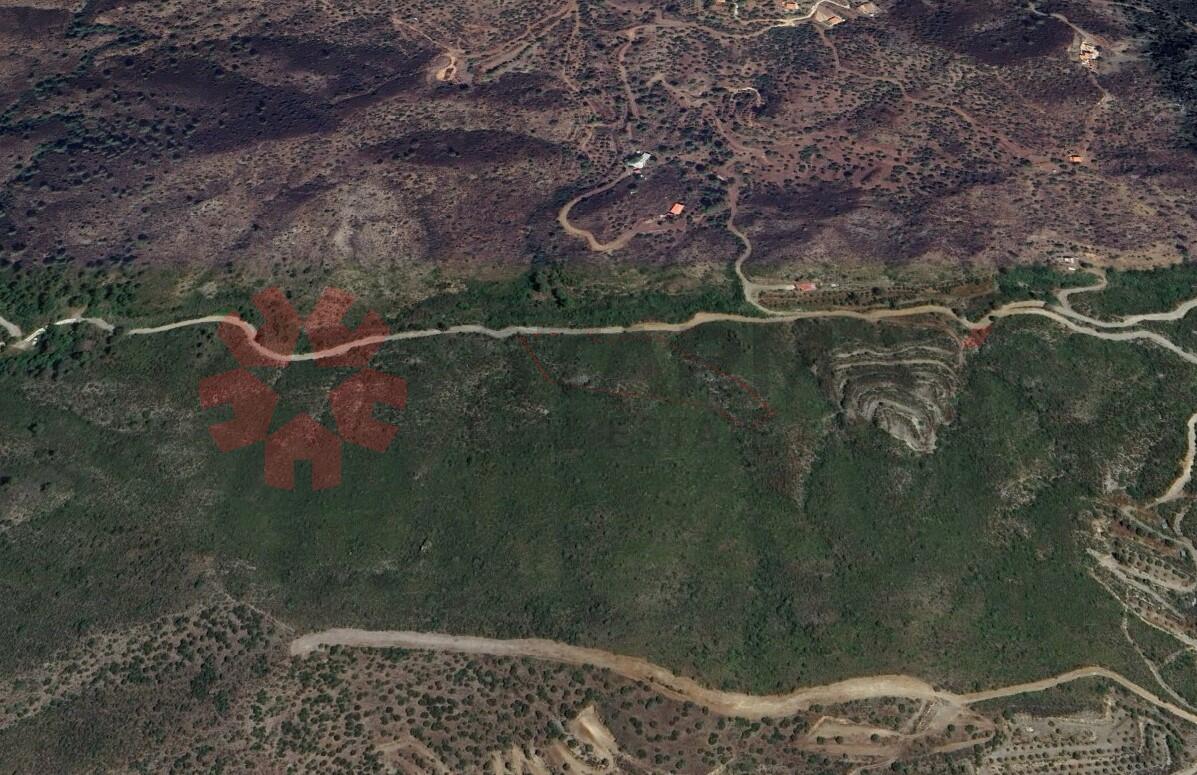 AGRICULTURAL FIELD IN LAGEIA, LARANACA