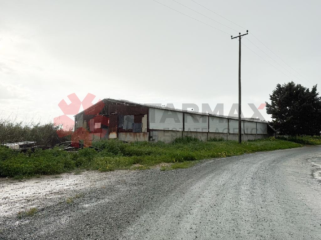 LIVESTOCK BUILDINGS-ARADIPPOU,LARNACA