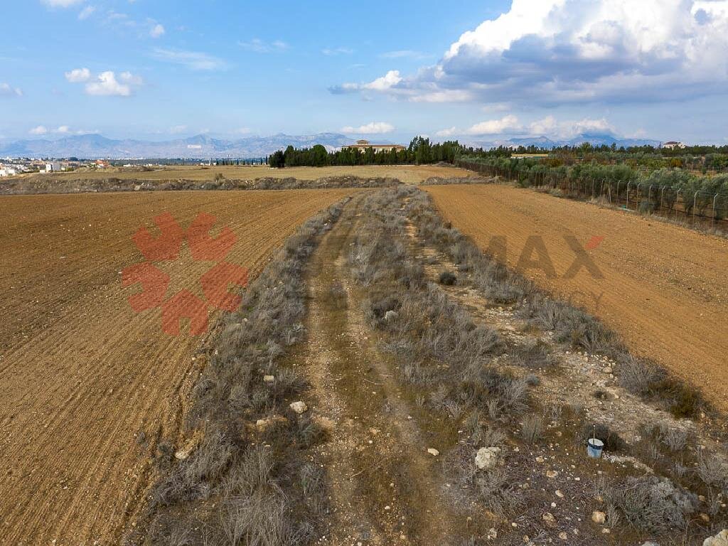 FIELD-GERI,NICOSIA - Published