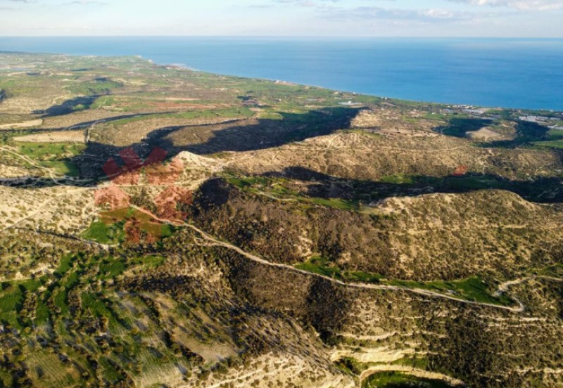LARGE AGRICULTURAL FIELD IN AGIOS THEODOROS, LARNACA - Published