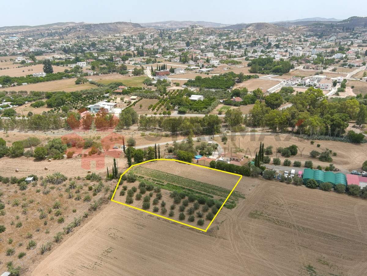 RESIDENTIAL FIELD IN DALI, NICOSIA - Published