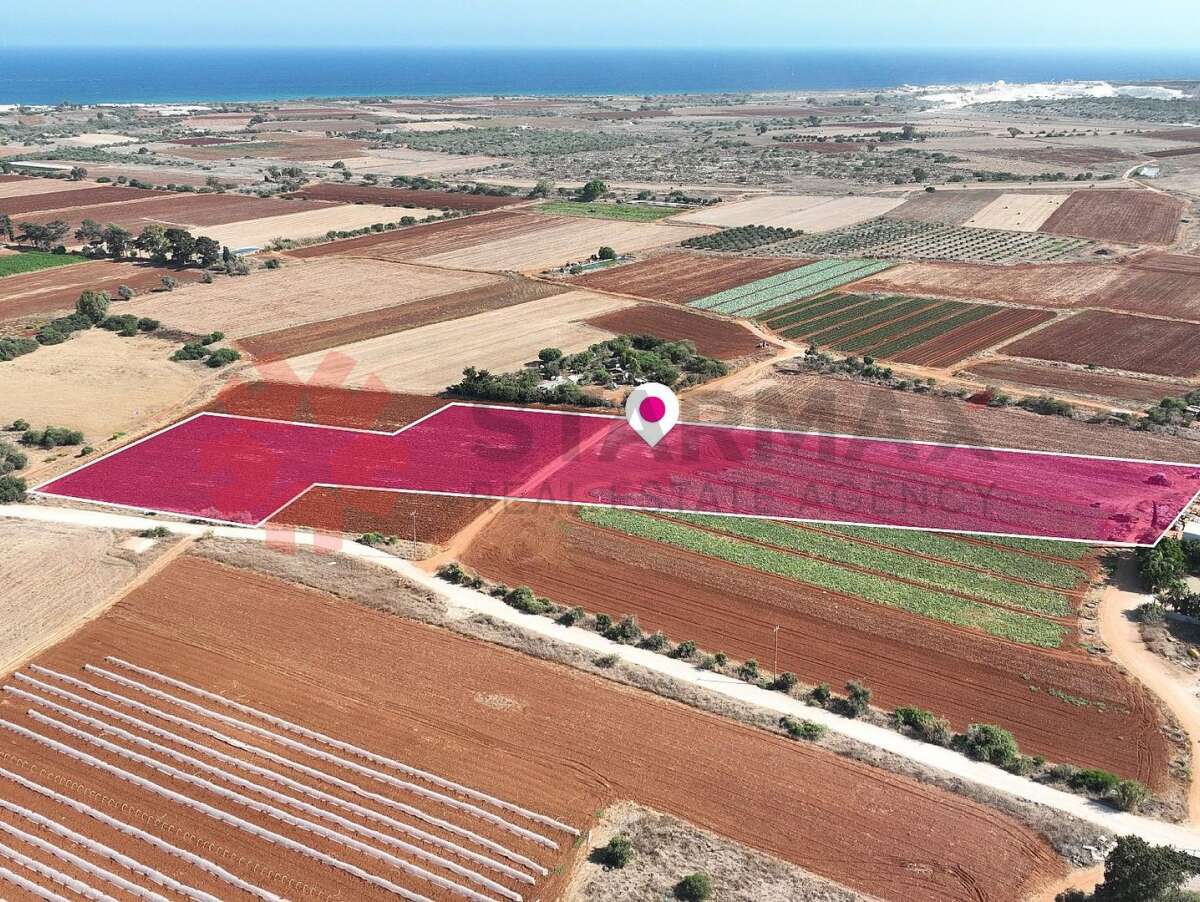 FIELD IN LIOPETRI,AMMOCHOSTOS - Published