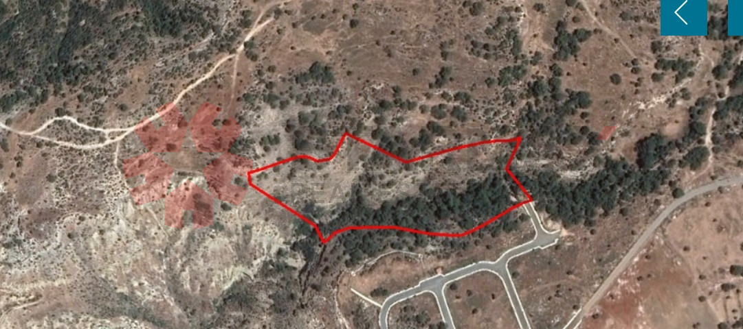 Agricultural Field in Pissouri, Limassol - Published