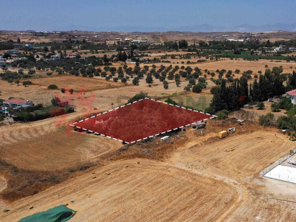 FIELD-DALI,NICOSIA - Published